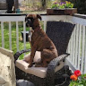 Meet your Posher, David